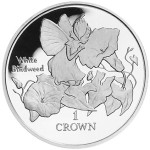 1998 IM Crown - White Bindweed