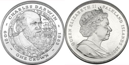 Falklands Darwin Crown