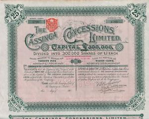 Cassinga Concessions Ltd. - A South African Security, circa 1902