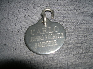 Carlo the Mastiff's dog tag ~ WTB COPP Evidence Box