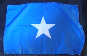 Lone Star Flag